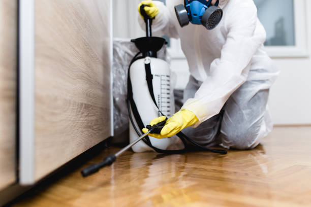 Best Best Pest Control Companies  in Danville, CA
