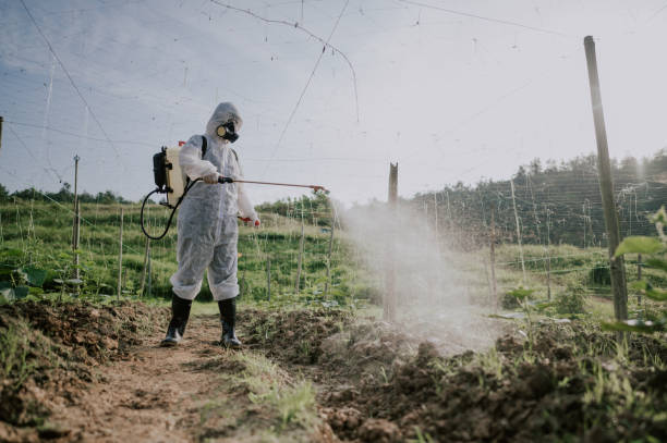 Best Mosquito Control Services  in Danville, CA