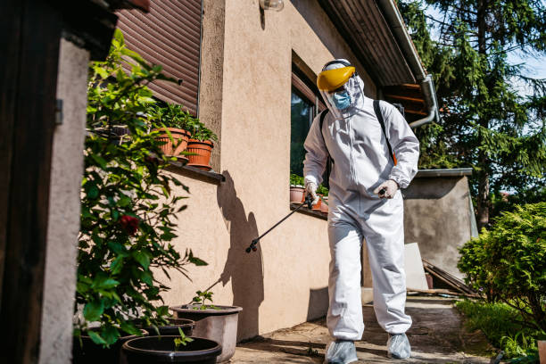Best Rodent Control Near Me  in Danville, CA