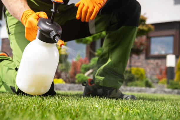Best Local Pest Control Services  in Danville, CA