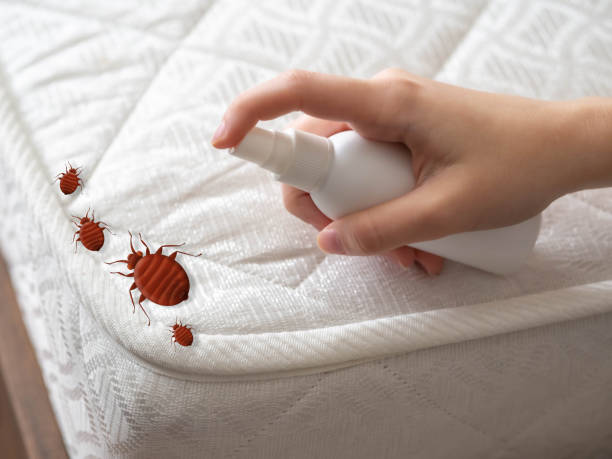 Best Pest Inspection Near Me  in Danville, CA